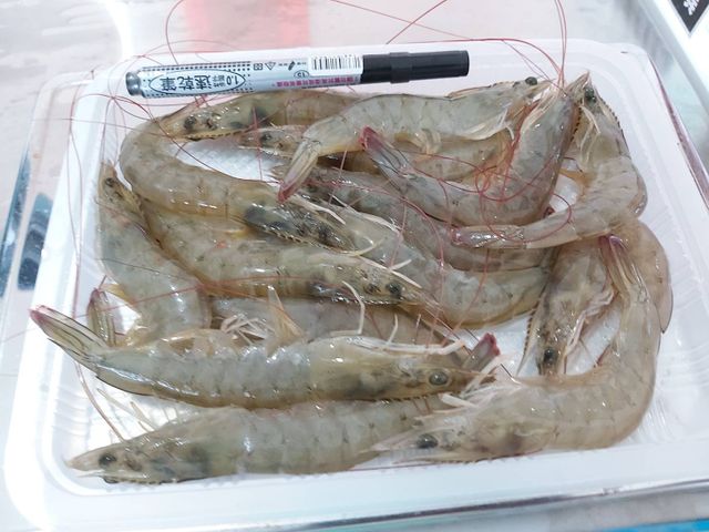【金新鮮 2A級無毒白蝦250g】無毒功法 吃益生菌長大的健康白蝦