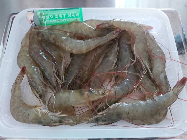 【金新鮮 3A級無毒白蝦250g】無毒功法 吃益生菌長大的健康白蝦