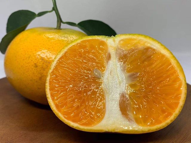 【甜嫩嫰！宜蘭員山 茂谷柑5斤(中果)禮盒裝】橘子汁多果肉細緻 甜度高的柑橘