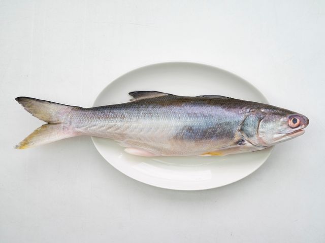 【天和鮮物 台灣鹹水午仔魚 300g】探訪各地海鮮食材，從水質到整體安全衛生標準都嚴格把關