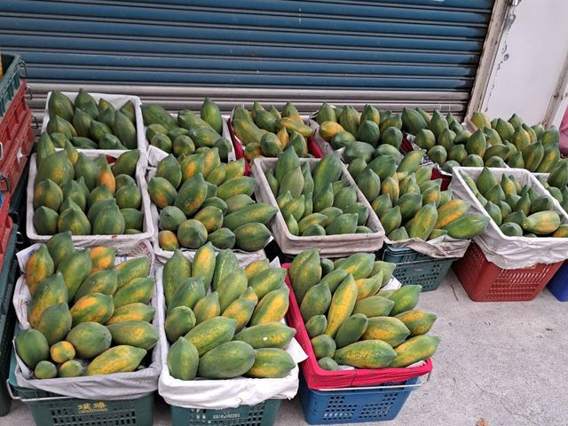 【大武山下的區塊鏈木瓜 12公斤裝】果肉紅嫩甜度高 網室栽培的台農2號