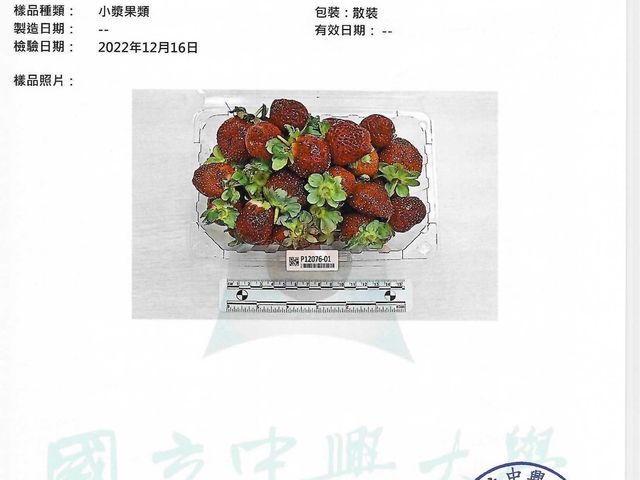 【霸氣甜心！友善無毒黑鑽草莓12入(特大果+大果+中果)ｘ2盒】獨特新品種！果肉紮實飽滿、香氣濃郁～