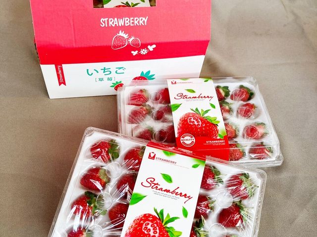 【霸氣甜心！友善無毒黑鑽草莓15入(大果)ｘ2盒】獨特新品種！果肉紮實飽滿、香氣濃郁～