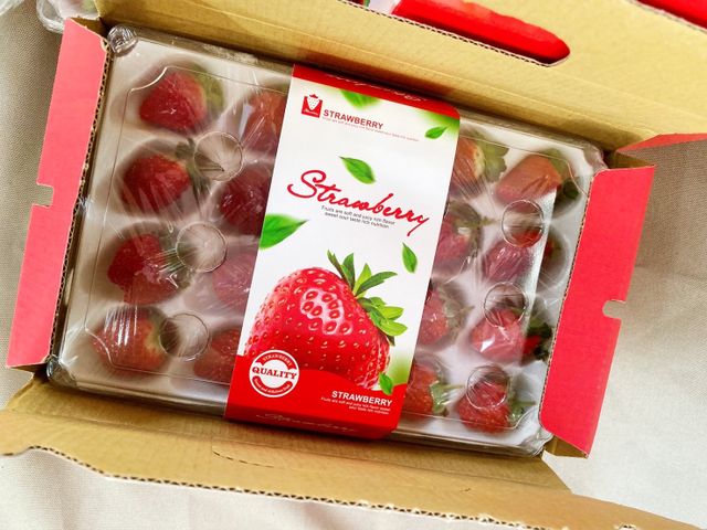 【霸氣甜心！友善無毒黑鑽草莓20入(中果)ｘ2盒】獨特新品種！果肉紮實飽滿、香氣濃郁～
