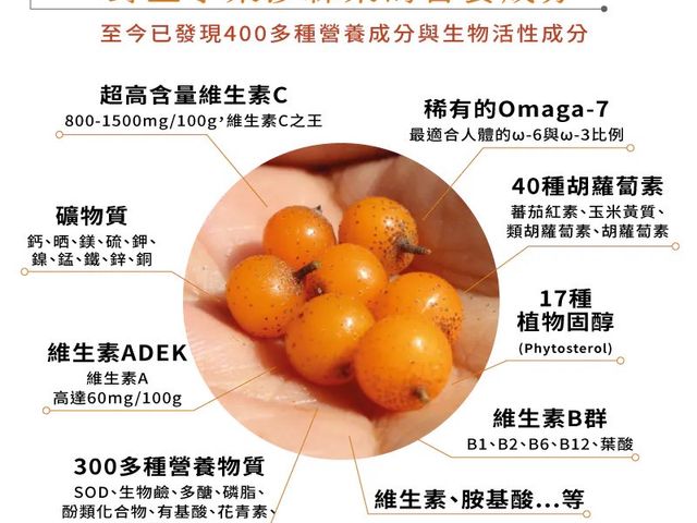 【橙十 野生小果沙棘汁隨身瓶】體內環保好幫手