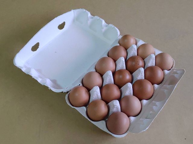 【安安益身蛋 精選放山雞蛋一箱(30入)】非籠飼養 才能產下好蛋
