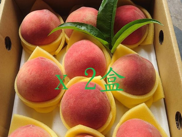 【桃園復興鄉的初夏水蜜桃 10顆裝(2斤)x2盒】高山水蜜桃 果肉細緻 香甜多汁
