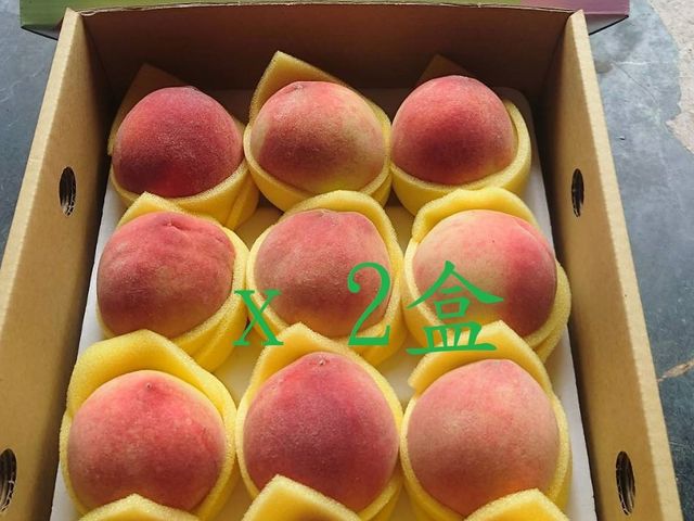 【桃園復興鄉的初夏水蜜桃 12顆裝(2斤)x2盒】高山水蜜桃 果肉細緻 香甜多汁