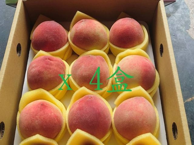 【桃園復興鄉的初夏水蜜桃 12顆裝(2斤)x4盒】高山水蜜桃 果肉細緻 香甜多汁