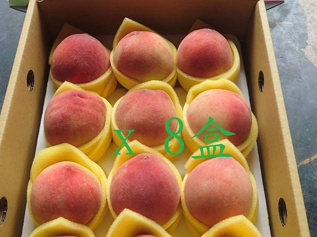 【桃園復興鄉的初夏水蜜桃 12顆裝(2斤)x8盒】高山水蜜桃 果肉細緻 香甜多汁