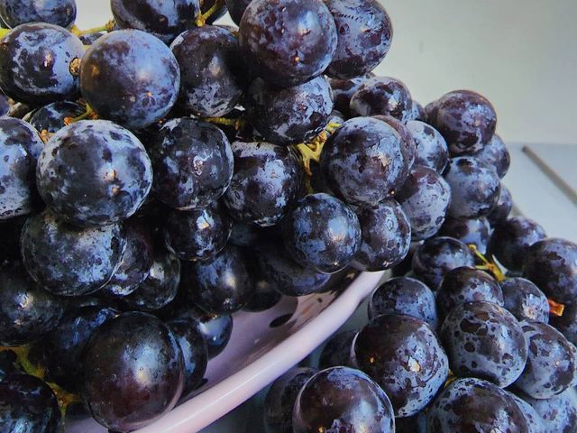 【現貨免運！智利黑無籽葡萄 2包裝】果實硬脆又甜 有特殊風味的葡萄