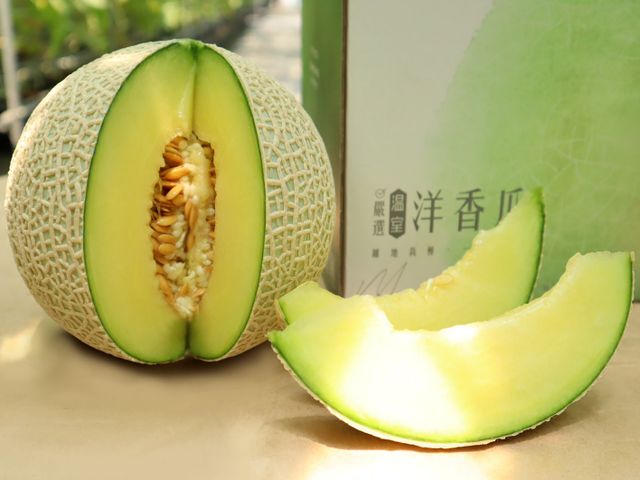 【預購！期間限定 阿露斯洋香瓜單入禮盒(2.1kg/顆)】香甜多汁、最頂級的綠肉哈密瓜