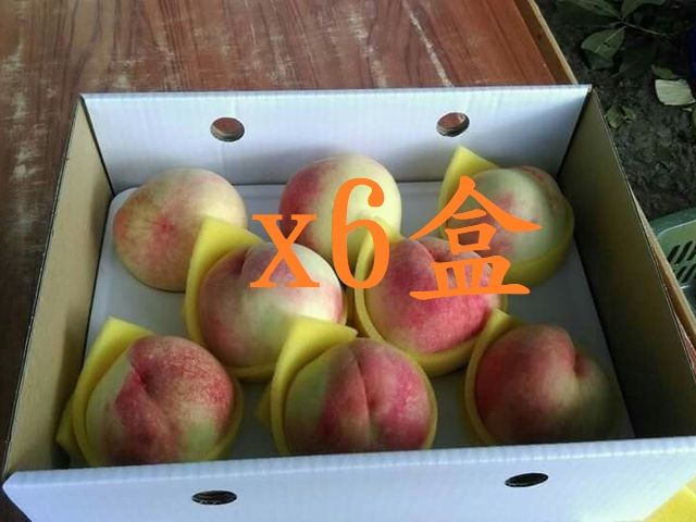 【限量預購！鮮甜多汁 高山水蜜桃 8入裝x6盒】入口即化的陽光部落水蜜桃！