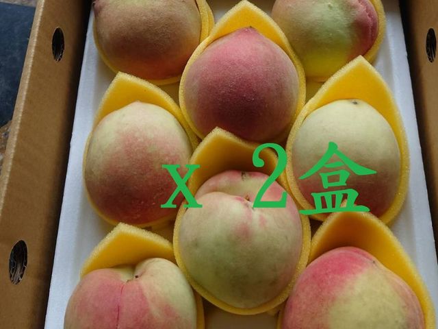 【復興鄉-日系白鳳水蜜桃 8顆裝x2盒(2斤2兩/盒)】拉拉山水蜜桃 纖維少 汁多香甜