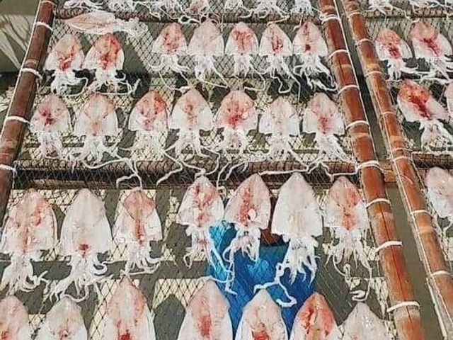 【澎湖海鮮直送 厚肉小管乾1包 (200g/包)】小卷干季節限定美味 自家船隊捕撈就是鮮