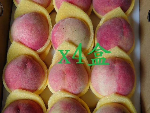 【拉拉山仲夏上海蜜水蜜桃 12顆裝x4盒(2斤3兩/盒)】高山水蜜桃 皮薄軟嫩 香甜多汁