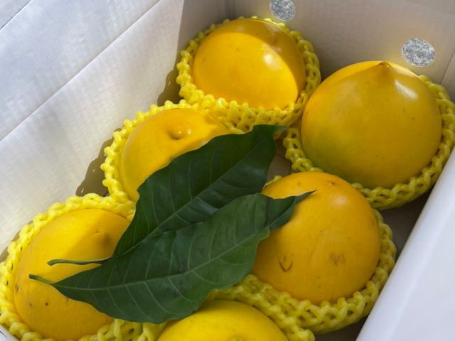 【超特惠！潘爸的珍稀寶物黃金果4.5斤裝(大果)】果凍般Q彈美味 水果界的美容水果