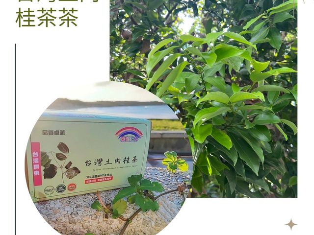 【屏東竹田 台灣土肉桂茶 一盒(10包)】100%天然無添加 享受無負擔的甜