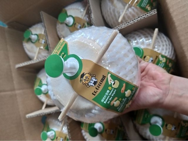 【東南亞進口 透心涼易開蒙古包椰子(附吸管)】100%原汁原味 汁多甜度高