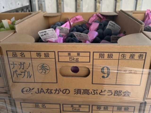 【日本葡萄季！長野紫+麝香葡萄 2房禮盒】日本兩大王牌合體 激推贈禮組合