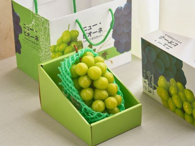 【限量夢幻珍品！日本麝香葡萄1房禮盒(中果)】翠綠色澤 如同寶石般珍貴