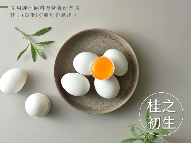 【桂園嚴選 桂之初生雞蛋 4盒】最純粹的濃縮雞蛋精華
