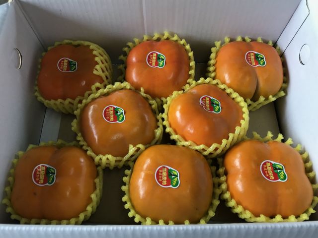 【立馬嚐鮮！次郎品種日本甜柿8粒小禮盒裝(7兩級)】產地新鮮直送 香甜爽脆無澀味