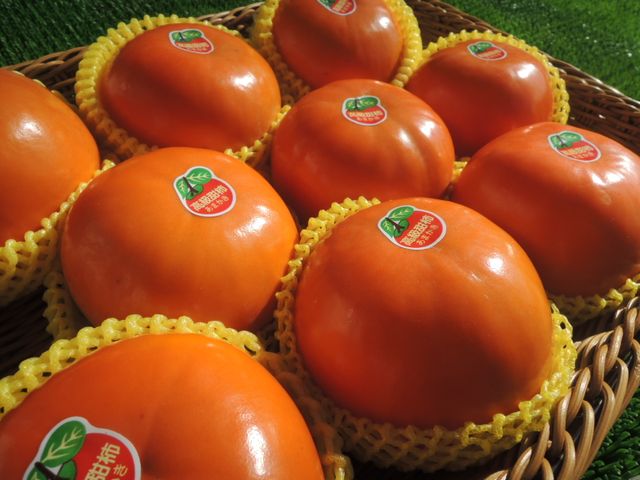 【甜美出貨中！蘿拉的大雪山甜柿6粒裝(7A)】口感脆甜多汁 超人氣柿子！