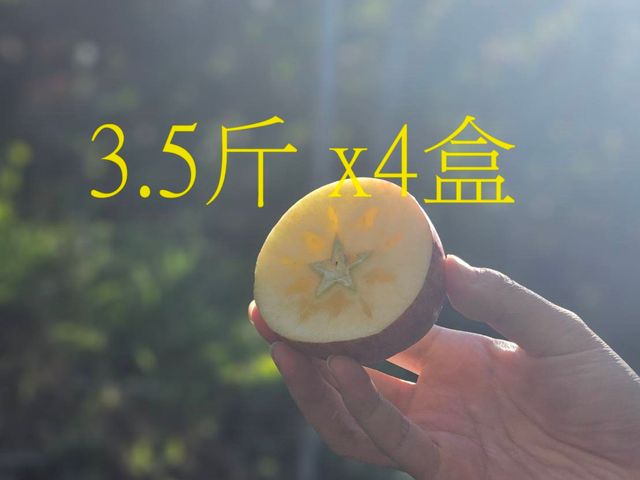 【預購！來自福壽山 日光洗禮的不套袋蜜蘋果中顆 3.5斤x4】饕客的最愛 就是願意多等⼀個月