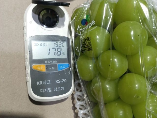 【韓國麝香葡萄(4盒)】翠綠色澤 如同寶石般珍貴