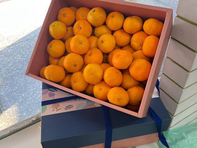 【亮麗登場！日本紅秀等級 溫州蜜柑3kg禮盒】橘祥如意 X 送禮首選