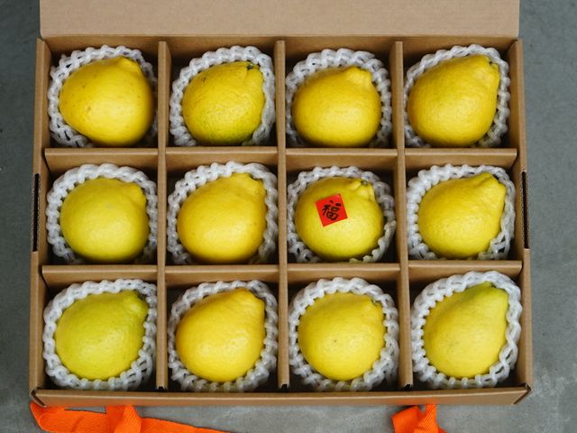 【預購！風城新竹 三寶柑(甜檸檬) 禮盒3斤裝】細緻香甜 無酸感的柑橘