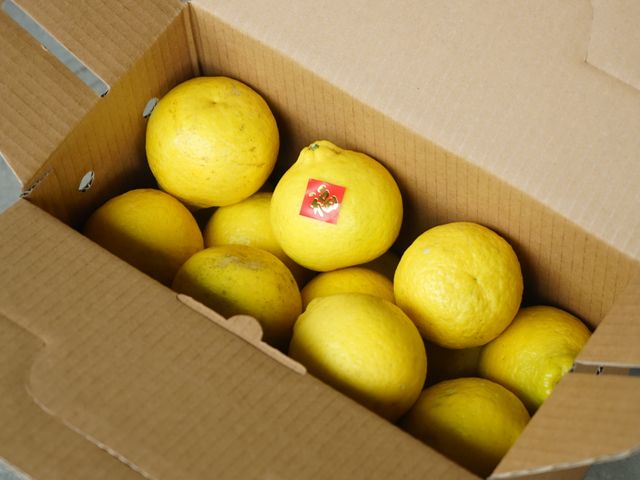 【預購！風城新竹 三寶柑(甜檸檬) 手提盒4斤裝】細緻香甜 無酸感的柑橘