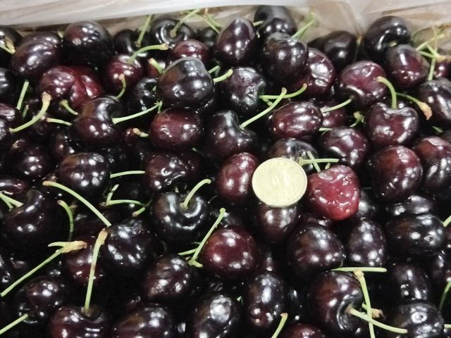 【冬季紅寶石！最好吃的紐西蘭櫻桃原裝盒 2kg裝】30-32mm果脆甜度高 飽滿又多汁