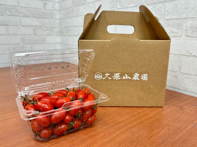 【紅色來襲～溫室玉女小番茄4斤禮盒】皮薄多汁 冬季人氣果實逸品！