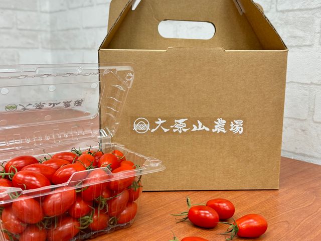 【紅色來襲～溫室玉女小番茄4斤禮盒】皮薄多汁 冬季人氣果實逸品！