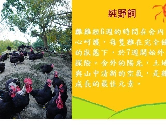 【野飼崎雞-雞腿肉香腸600g (原味)】南台灣自然放養土雞 新鮮配送到府!