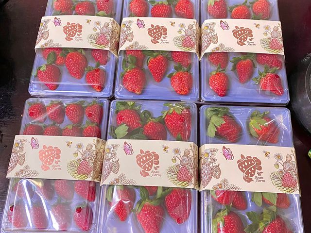 【寶藏禮盒！日系無毒紅顏草莓11入(大果) x2入】比豐香更勝一籌的嬌豔紅寶石