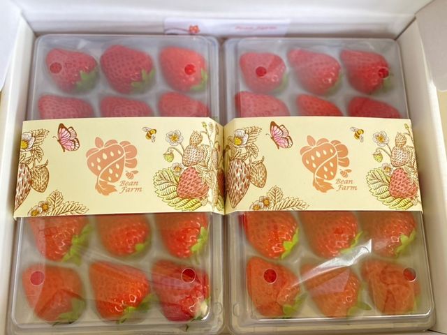 【珍稀少見！日系無毒紅顏草莓15入(中果) x2入】比豐香更勝一籌的嬌豔紅寶石