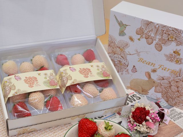 【寶藏禮盒！日系無毒雙色草莓11入(大果) x2入】紅顏x天使的日系草莓甜蜜與風華