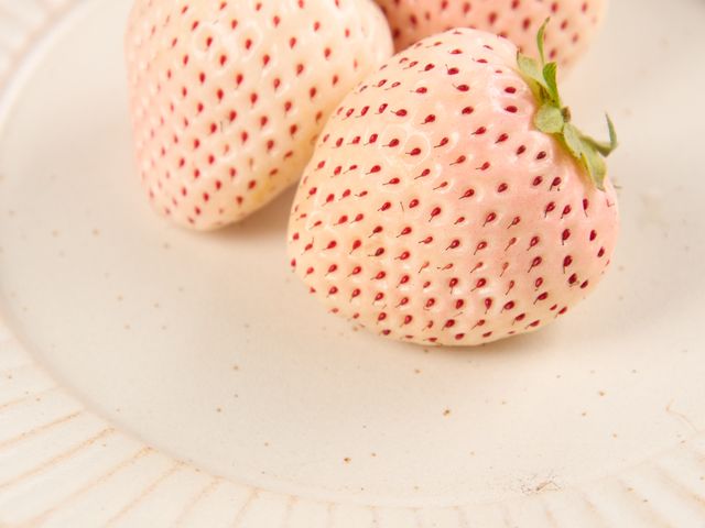 【限量禮盒！日系無毒天使之實白草莓6~9入(特大果) x2入】純淨無瑕的雪白色果實