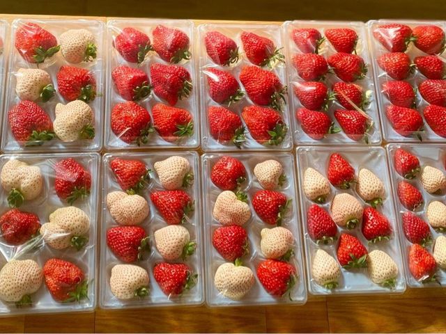 【限量禮盒！日系無毒雙色草莓6~9入(特大果) x2入】紅顏x天使的日系草莓甜蜜與風華