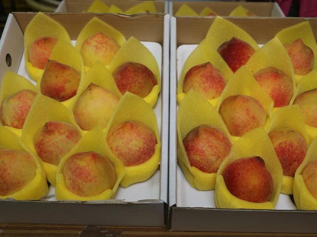 【桃香預購！香甜多汁的黃金水蜜桃 10顆禮盒x2盒】市場少見 農藥殘留0檢出給你好安心