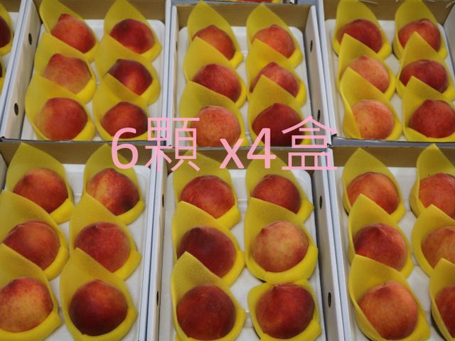 【桃香預購！香甜多汁的黃金水蜜桃 6顆禮盒 x4盒】市場少見 農藥殘留0檢出給你好安心