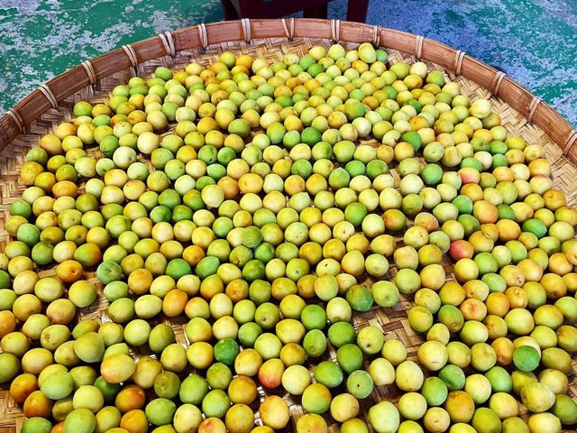 【結實纍纍！顆顆手採黃梅20斤裝(大果)】飽滿果肉，適合泡梅酒、梅醋跟醃製Q梅