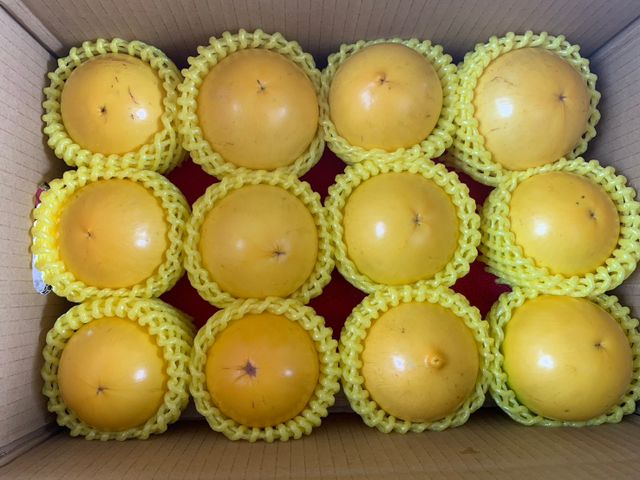 【天然果凍 黃金果10斤裝】豐富膠質咕溜咕溜 又稱黃晶果加蜜蛋黃果