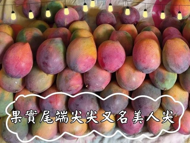 【屏東枋山 市場少見的杉林芒果5斤裝(8粒)】幾乎無纖維 還有水蜜桃香氣