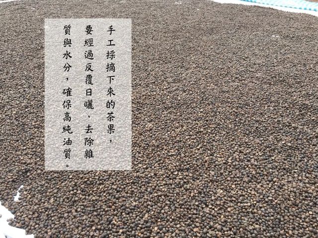 【高仰三 苦茶油禮盒(2瓶)】台灣原生金花小菓 東方橄欖油茶花籽油