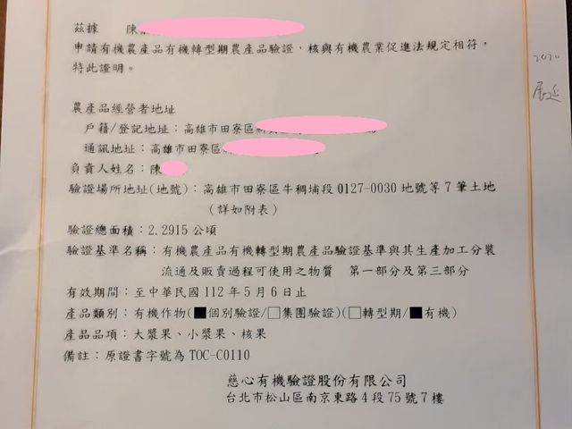 【高雄田寮 自然甜味有機綜合水果箱 8斤裝】芭樂、芭蕉、木瓜 一箱滿足小家庭一週的水果營養