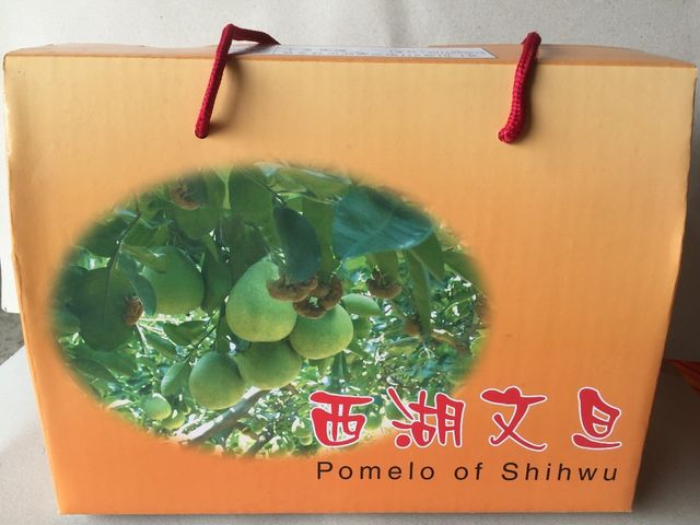 【苗栗西湖 中秋頂級40年老欉有機文旦柚 3公斤裝】